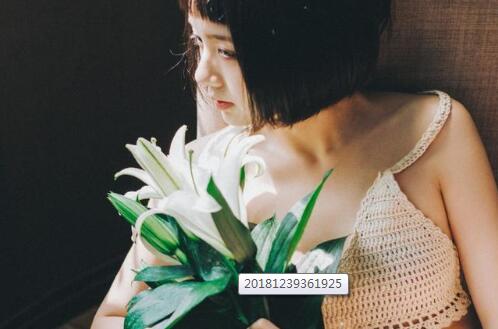 2019最新微信網(wǎng)名，好聽的微信名字大全